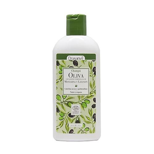 Olive Oil Shower Gel Eco 250 ml
