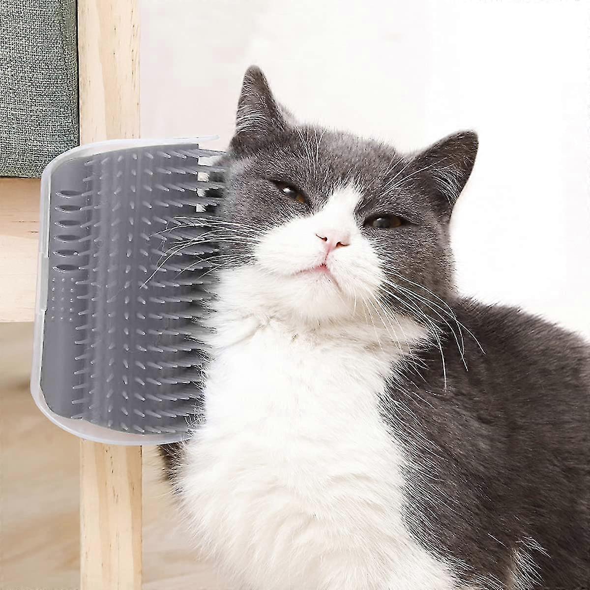 Cat Brush, Cat Massage And Hair Removal, With Catnip, For Massage, Grooming And Playing, Cat Toys