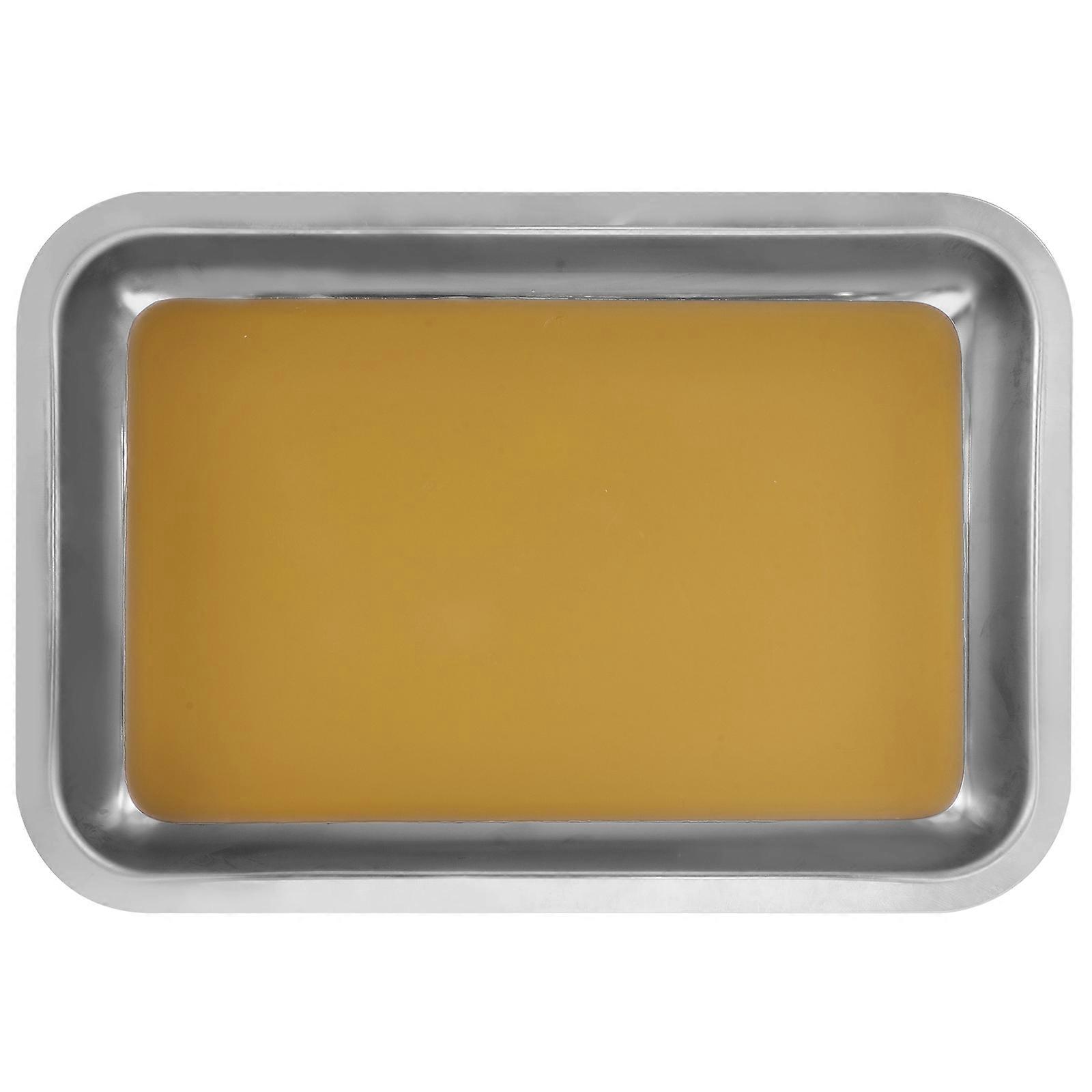 Dissecting Tray Wax Dissection Tray Labs Dissection Plate for Biological Experiment