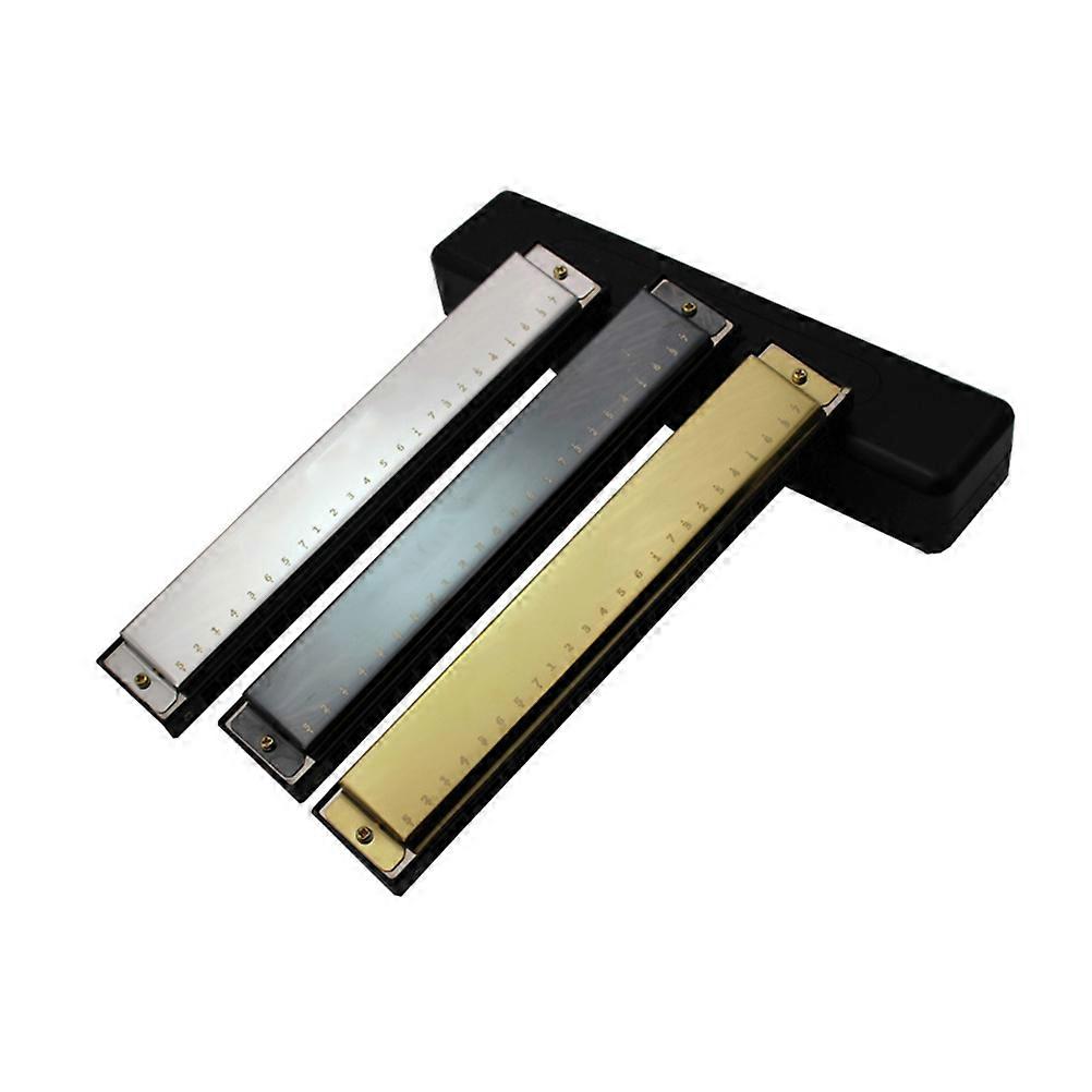 24 Holes Overgild Tremolo Harmonica Music Instrument for Beginner (Black)