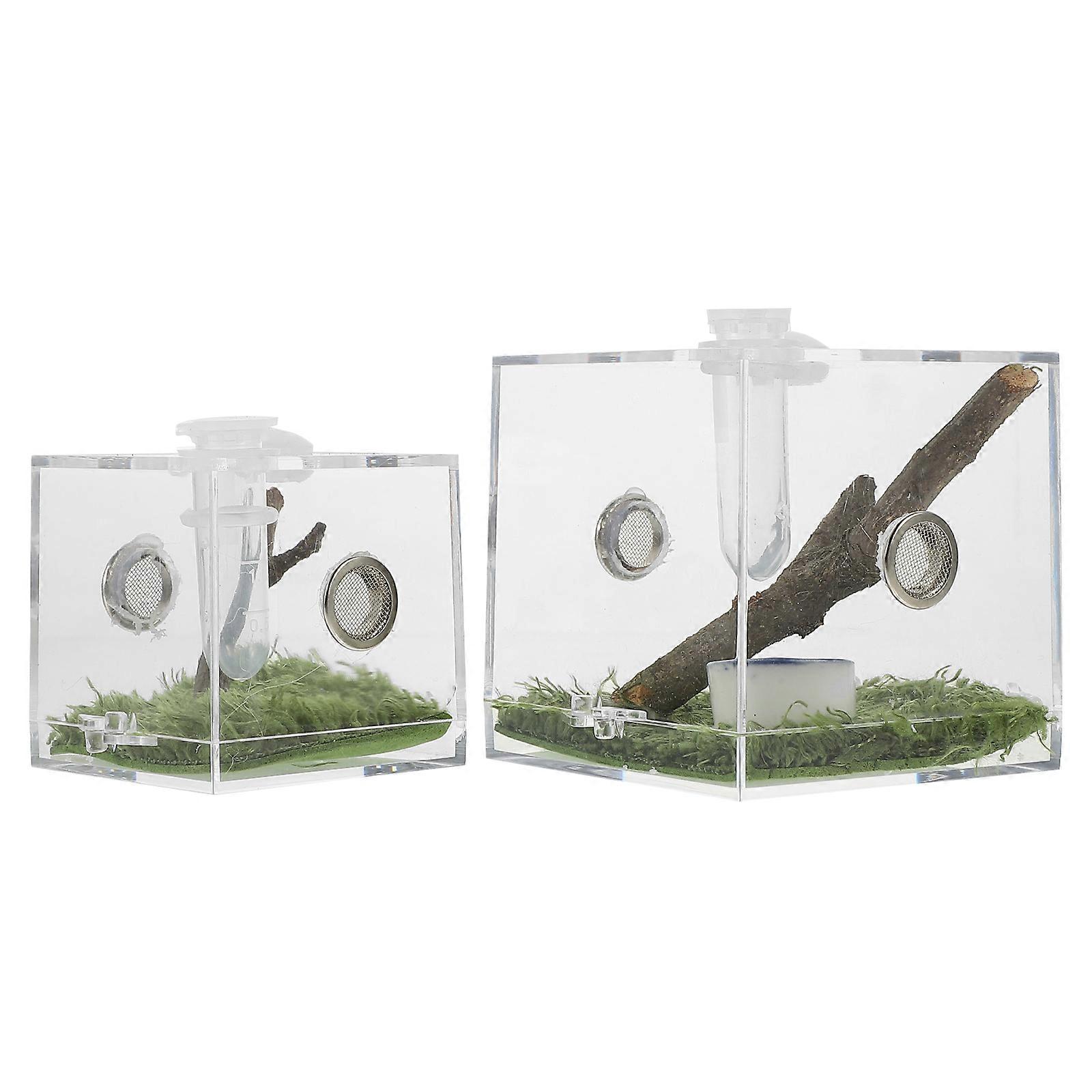 Acrylic Jumping Spider Enclosure Box Clear Observation Habitat For Reptile Owners 2Pcs