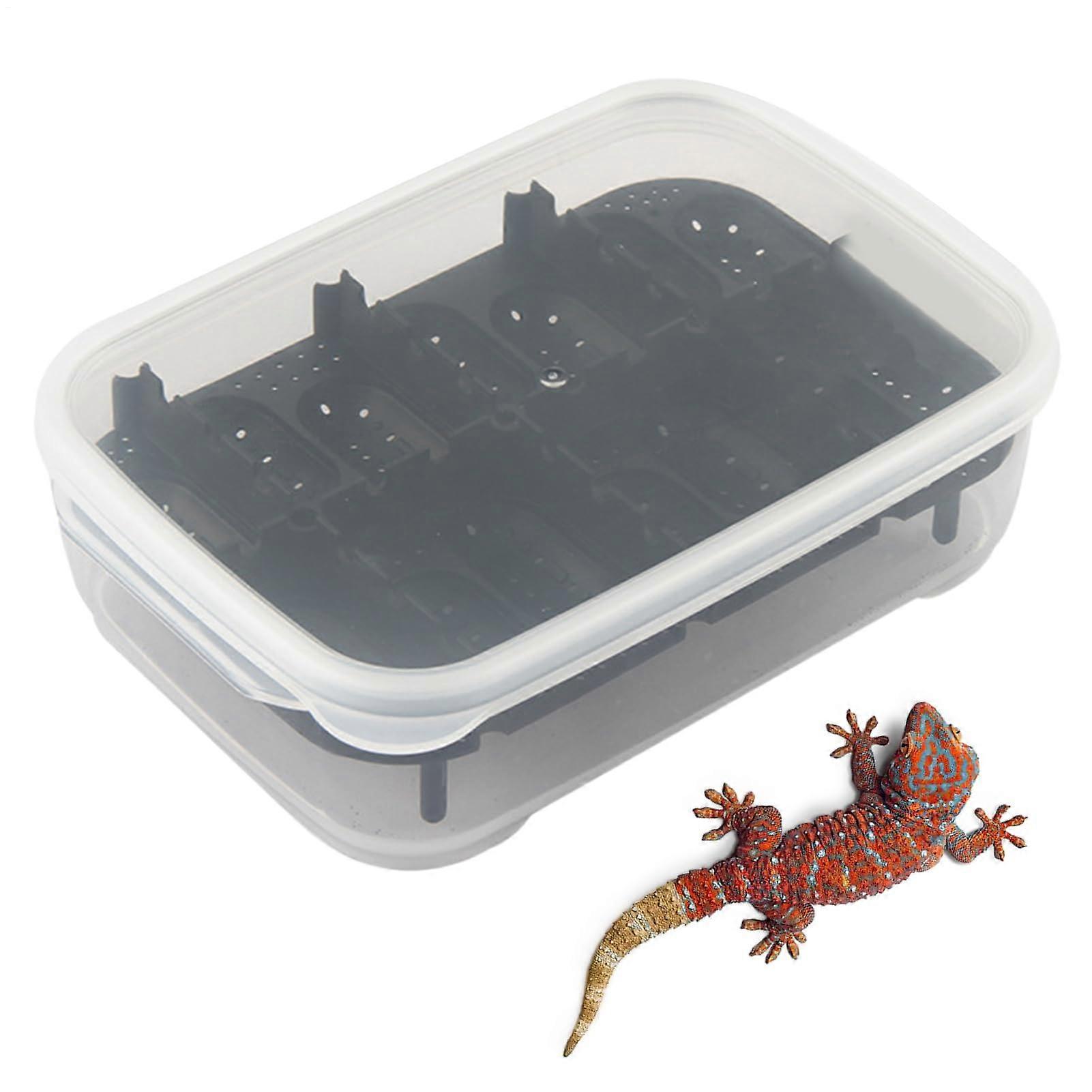 Reptile Terrarium,14 Grid Gecko Hatching Basin Transparent Breeding Box