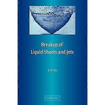Breakup Of Liquid Sheets And Jets - S. P. Lin - Paperback - en Book