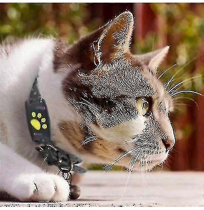 Smart Gps Cat And Dog Collar Tracker