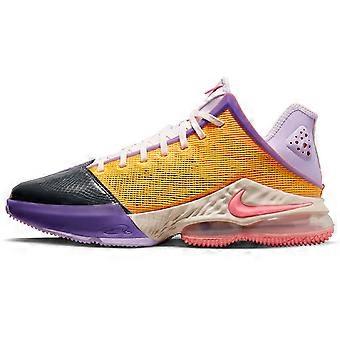 Nike Lebron XIX Low EP Mismatch Basketbal DO9828-500