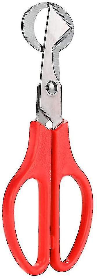 مقص بيض السمان، حمامة الطيور البيض القاطع فتاحة الفولاذ المقاوم للصدأ أداة المطبخ ربة منزل كليبر