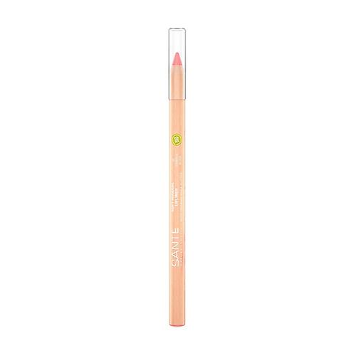 Lip pencil 01 Gentle Rose 4,5 g (Pink)