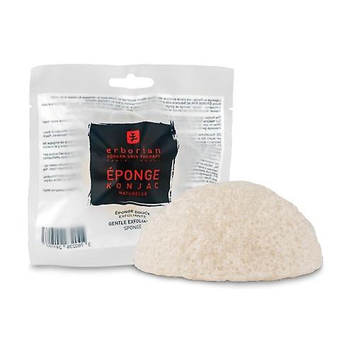 Natural konjac sponge 1 unit