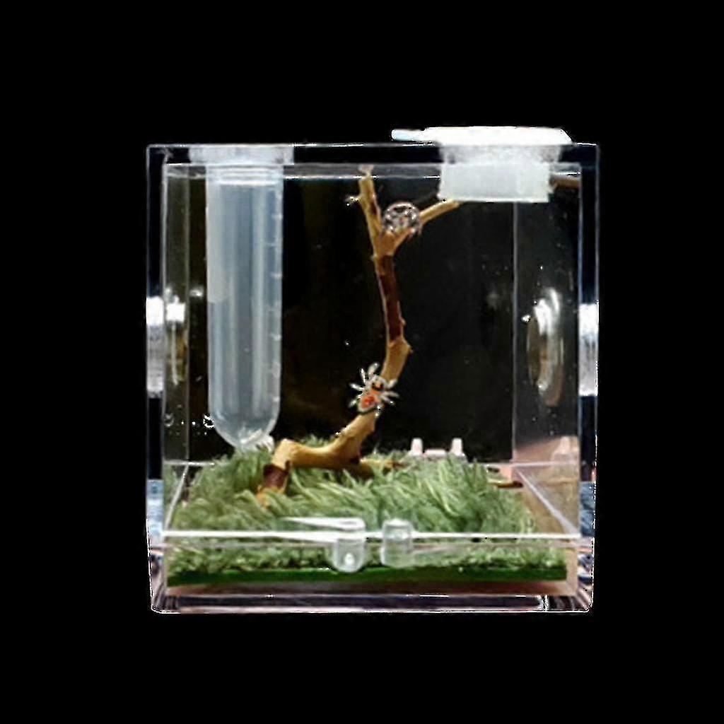 Spider Habitat Terrarium, Terrarium For Small Insect Reptiles