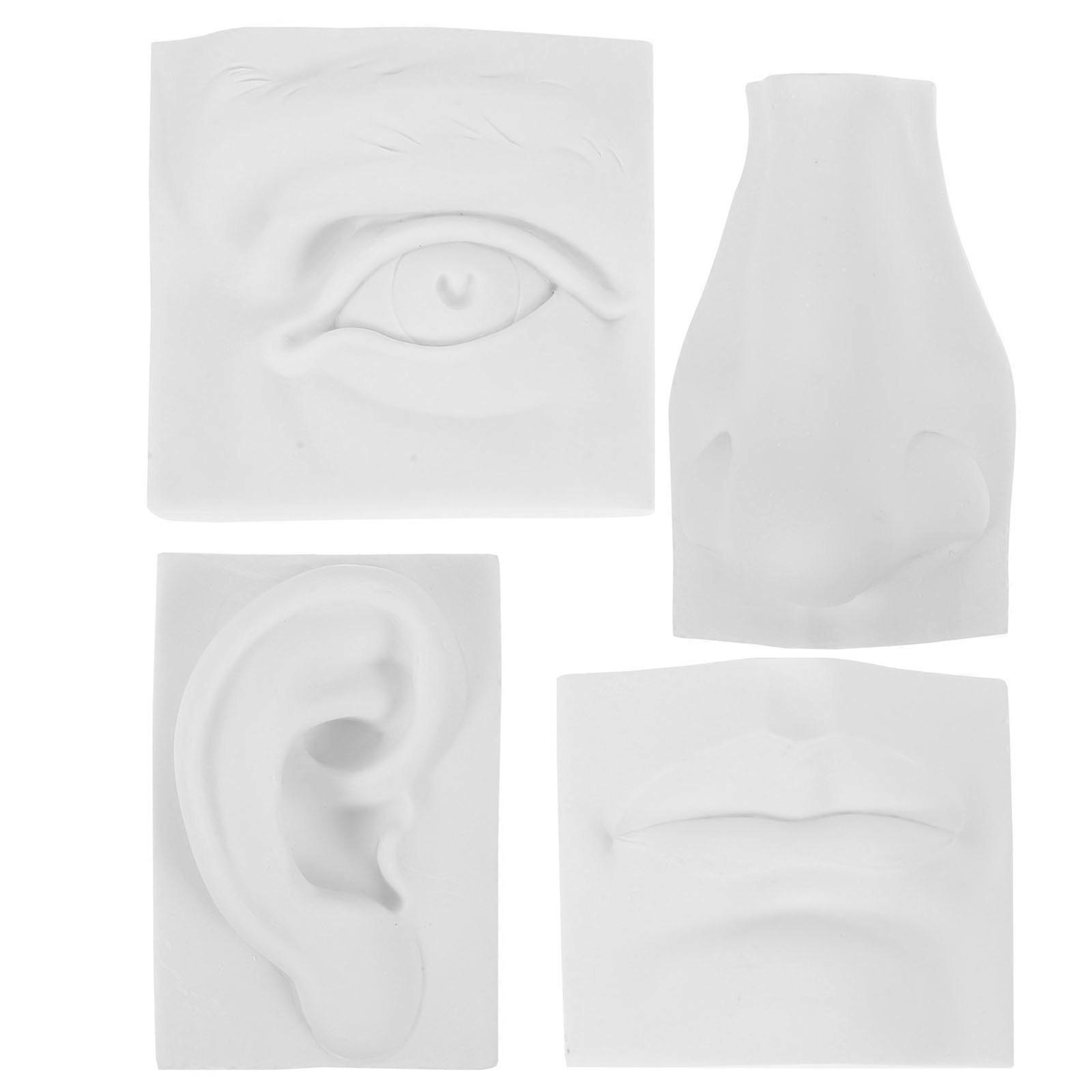 Gypsum Facial Features Sculpture Model for Sketch Practice, Realistic Drawing Statue with Smooth Surface, Artistic Teaching Aid for Art Exam