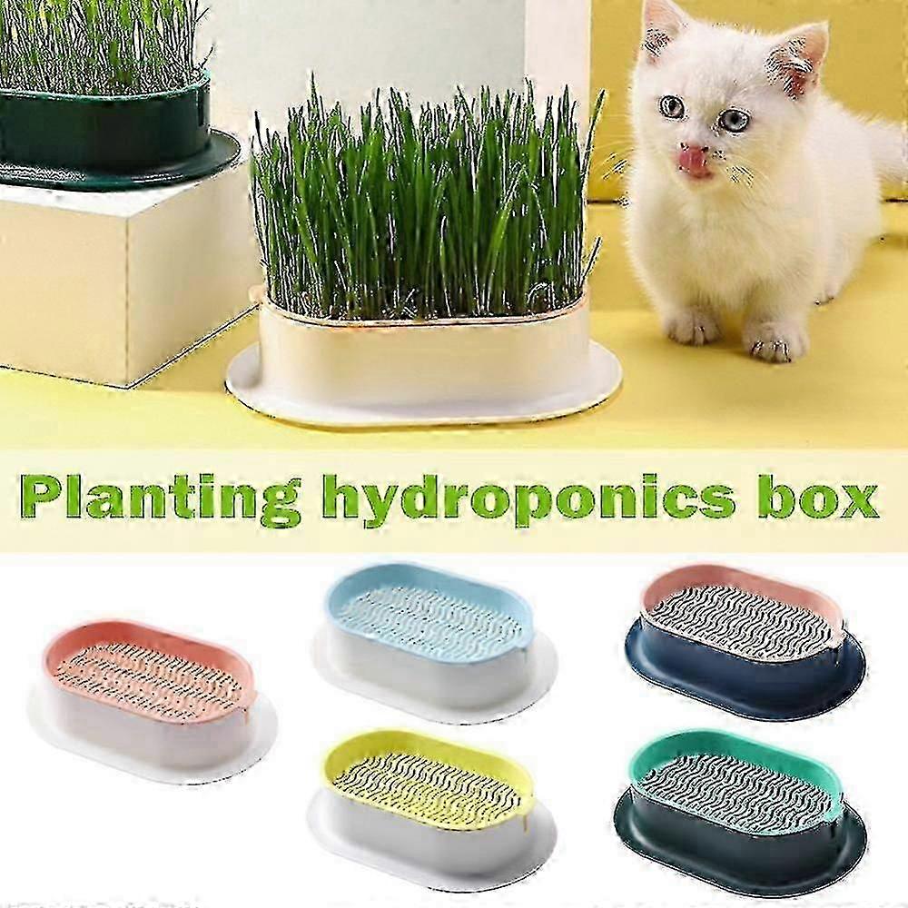 Hydroponic Cat Grass Planter Tray Plastic Catnip Cat Grass Box Soil Free Cat Grass Growing Box Cats Snack Tray Qkk