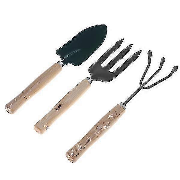 Small garden rake for indoor plants - 3pcs tools set with trowel