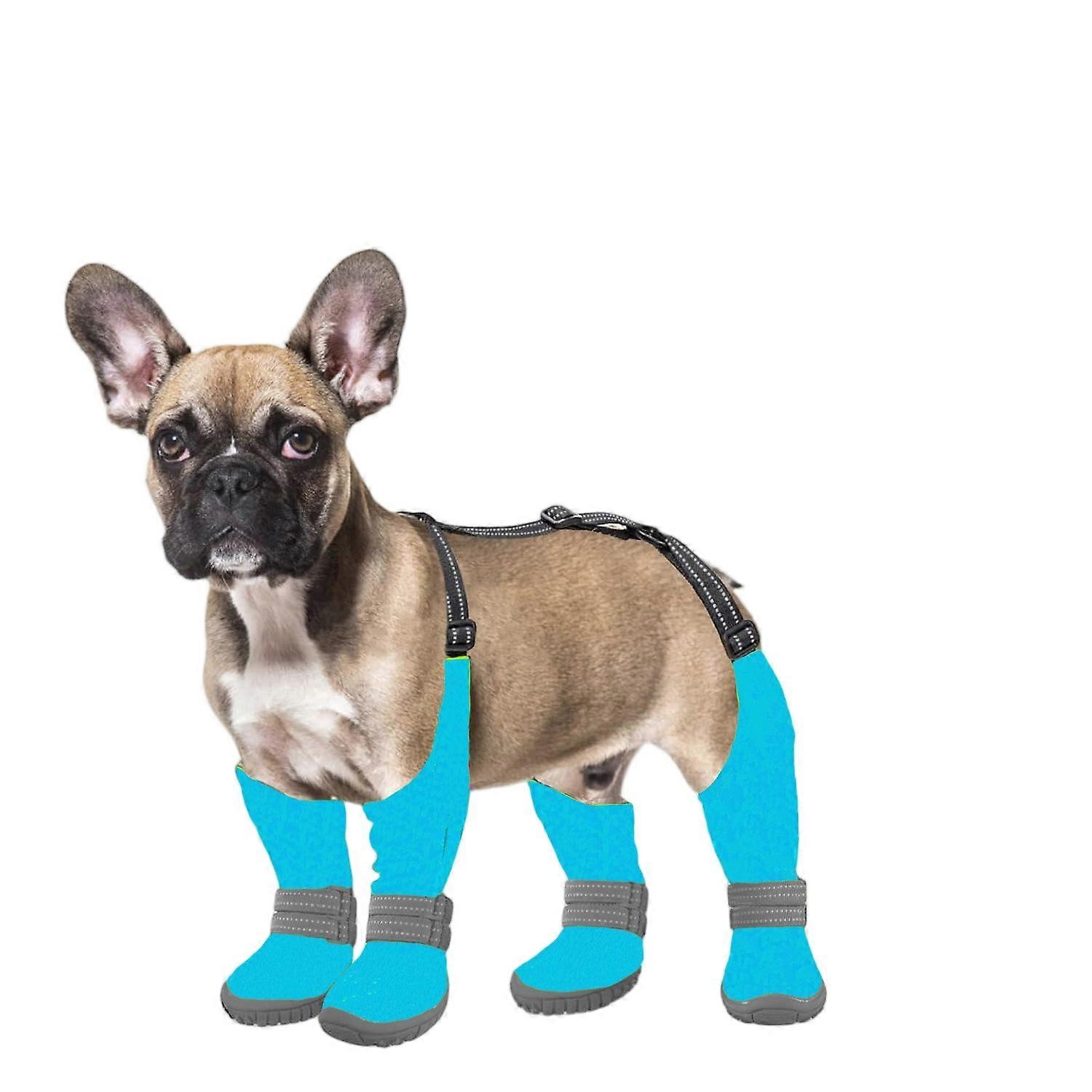 Dog shoes, multiple sizes available, British style design suitable for all seasons