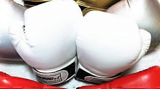 2 Pair Kids Boxing Gloves Set Sparring Training Gloves For Children Lightweight Foam Padding For Kickboxing Punching Bag And Taekwondo Practice