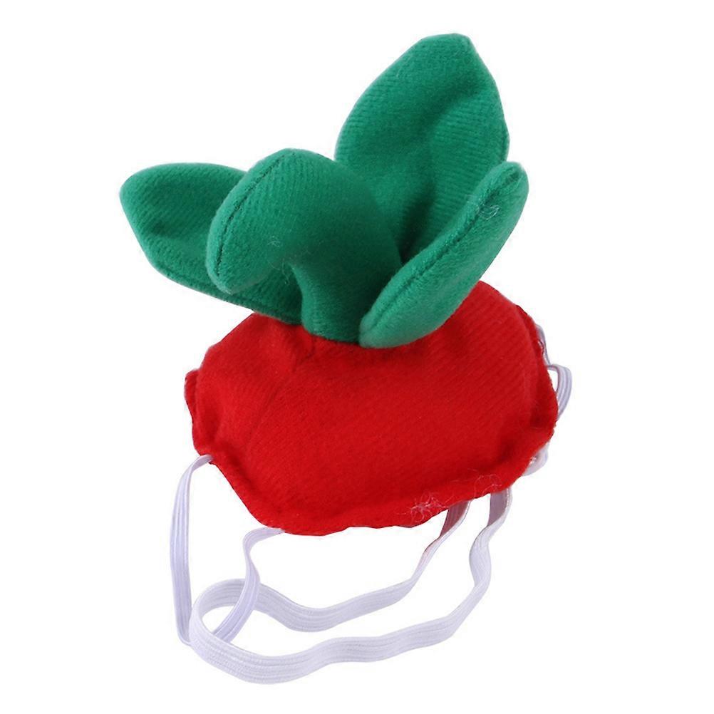 Party Headgear Hat for Pet Wearing 2Pcs Assorted Color