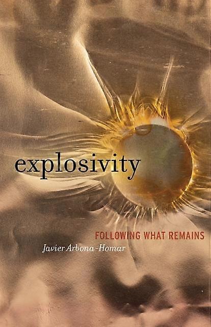 Explosivity by Javier Arbona-Homar Paperback