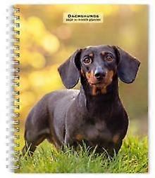 Dachshunds 2026 Engagement Diary Diary Book