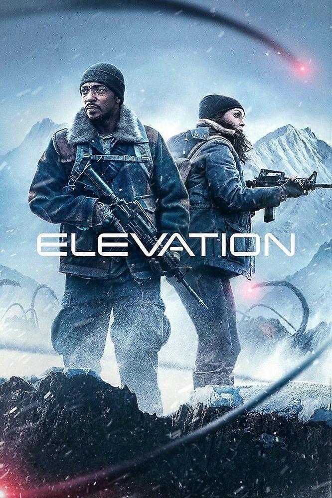 Puzzle antistress Elevation 2024 EB 2934