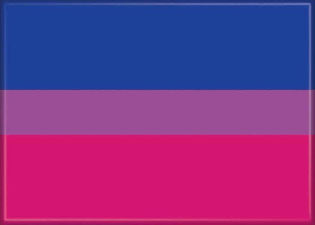 Bisexual Flag Qi 1600