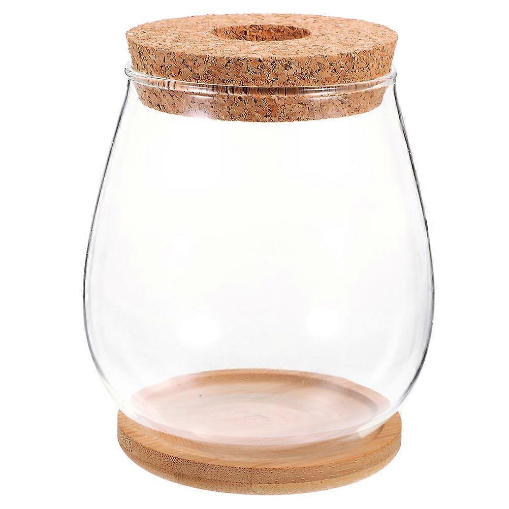Hydroponic Glass Container for Storage Clear Micro Landscape