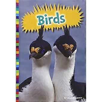 Birds (Animal Kingdom (Amicus))