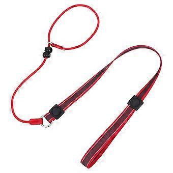 Dog Training Lead Anti Pull Slip Dog Leash Comcompatible withtable Control Red 150.00X2.50X0.20cm Polyester Control 1Set