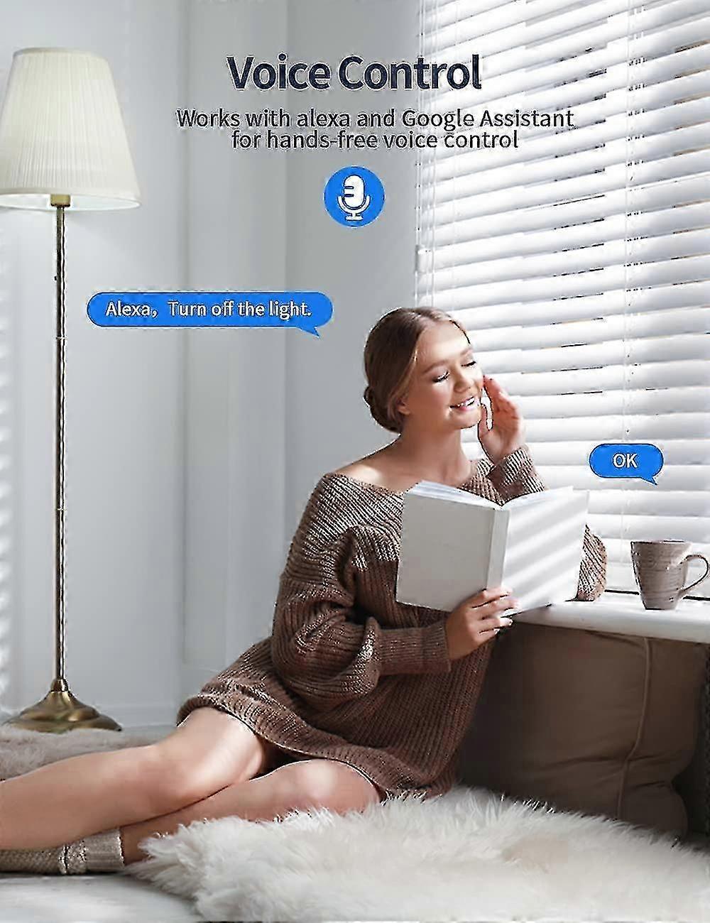 16A WiFi Smart Plug Voice & Timer