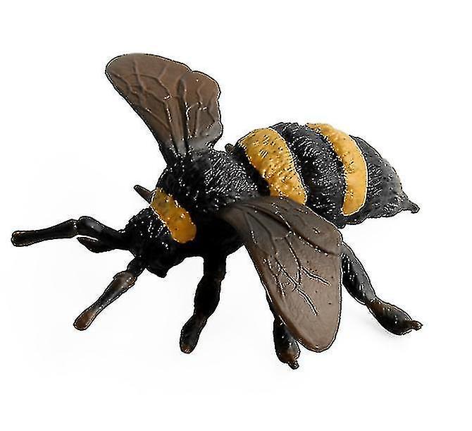 Insect Toy Wild Animal World Figures Model Insect Figures Insect Model Set Kids Children Biology Sci