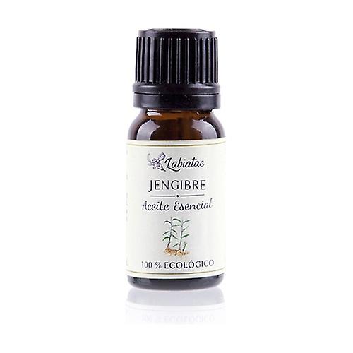 Organic Ginger Essential Oil 12 ml of essential oil (Ginger)
