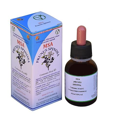 Msa Prunus Spinosa 50 ml