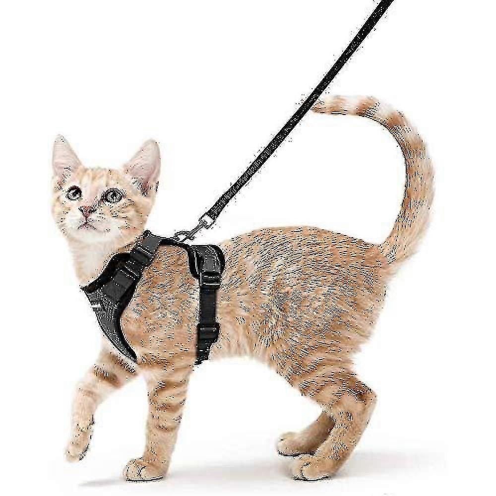 Rabbitgoo Cat Harness And Leash For Walking, Escape Proof Soft Adjustable Vest Harnesses For Cats, Easy Control