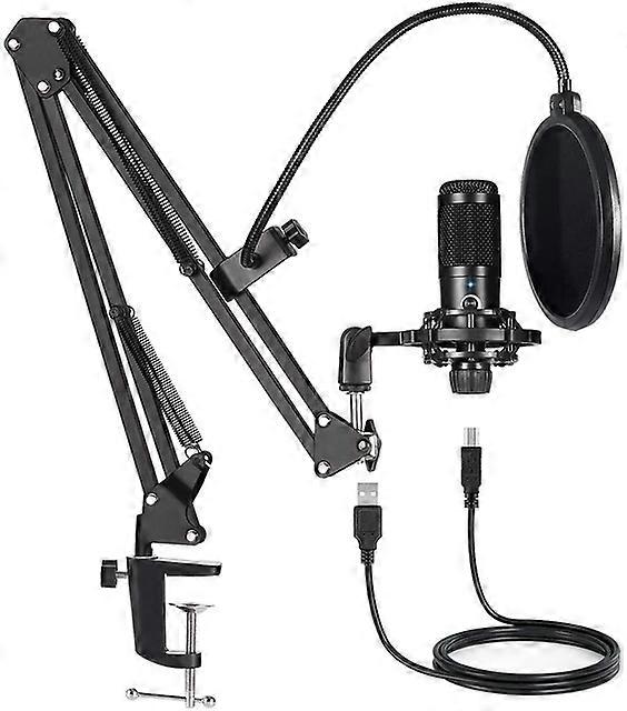 New Arrivals bm 800 Microphone for Computer Youtube Gaming Recording Studio USB Condenser Microphone Kits with Stand microfono