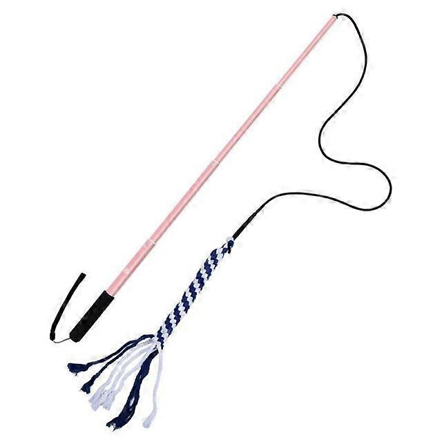 Pet Toys Interactive Extensible Flirt Pole Drôle Chasing Tail Teaser Et Exerciser Pour Chiens Interactif