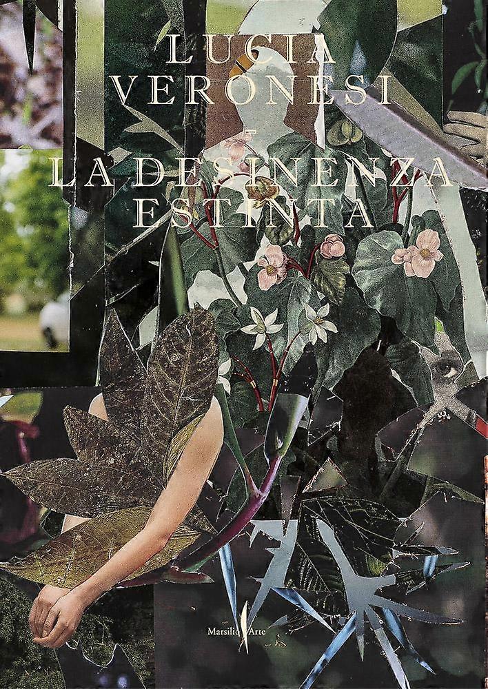 Lucia Veronesi The Extinct Desinence by Lucia & Veronesi  Paperback