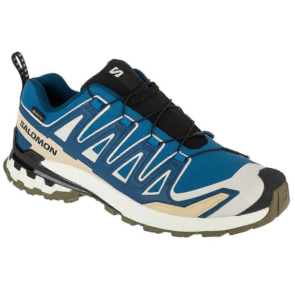 Shoes Salomon Xa Pro 3d V9 L47817400