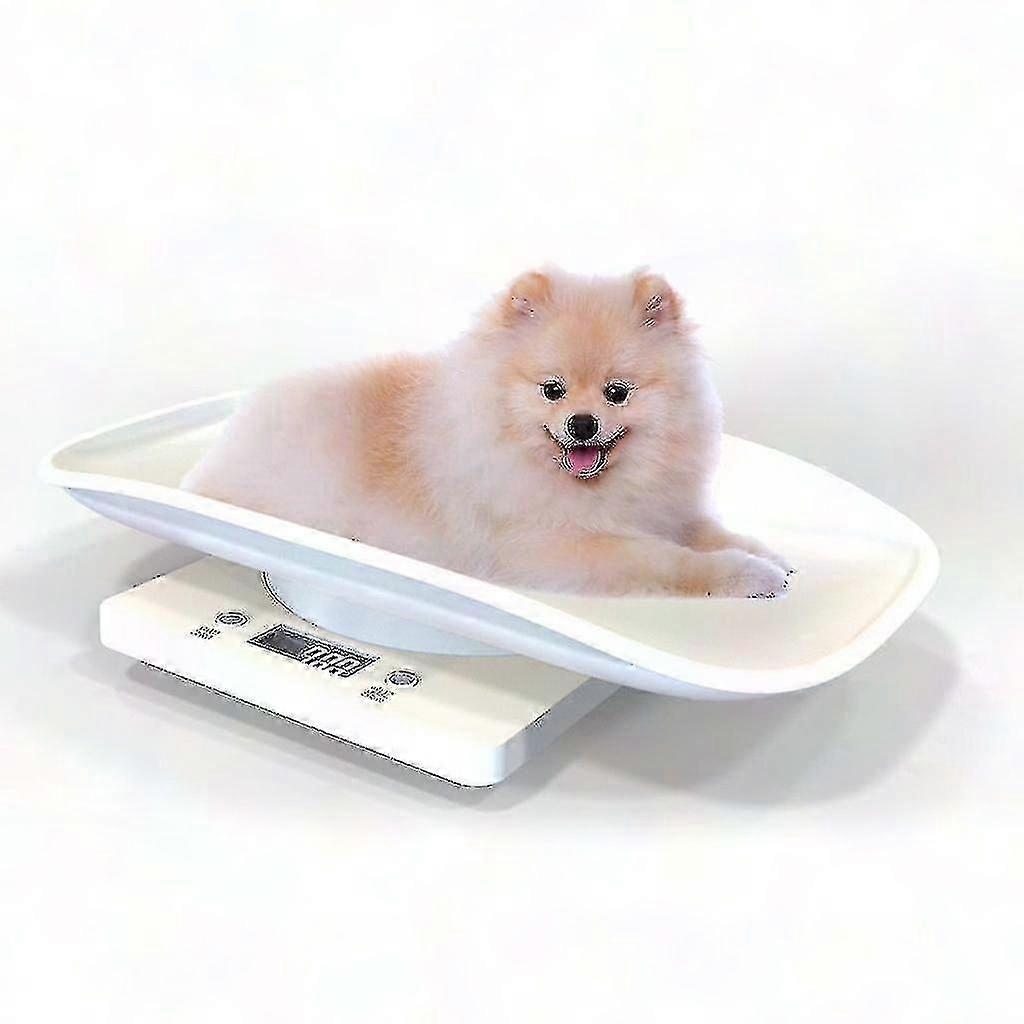Digital Scale for Babies and Pets - Accurate Measurement Up to 10kg, Stylish White Finish