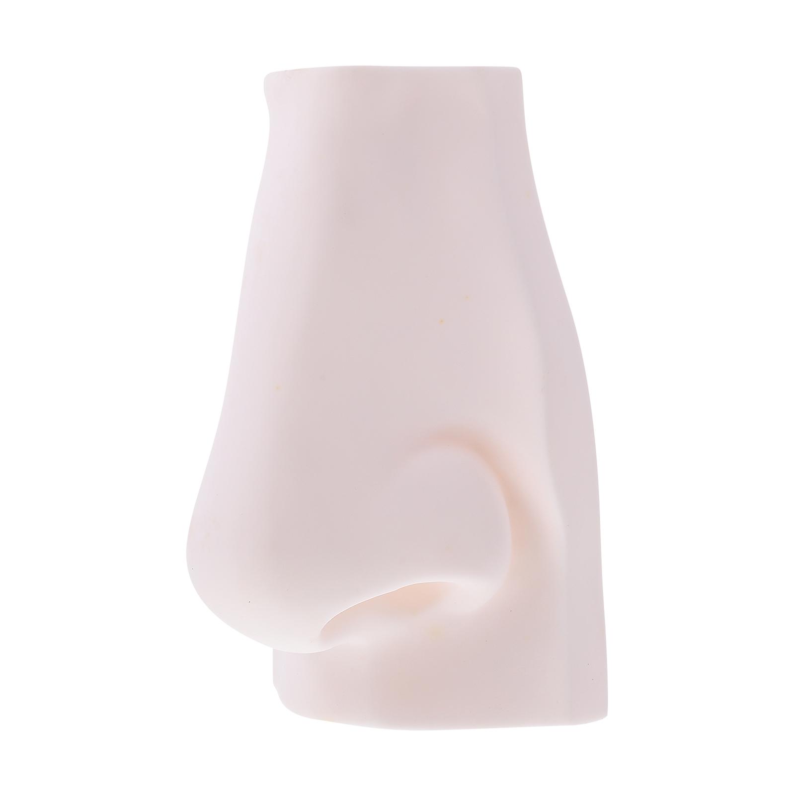 Vivid Organ Sculpture Sketch Practice Model Durable PVC Art Teaching Tool Compact Design for Easy Display and Carrying