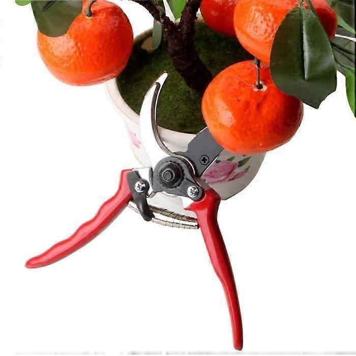 Garden Shears Garden Pruning Shears Grafting Tools Scissors Garden Tools