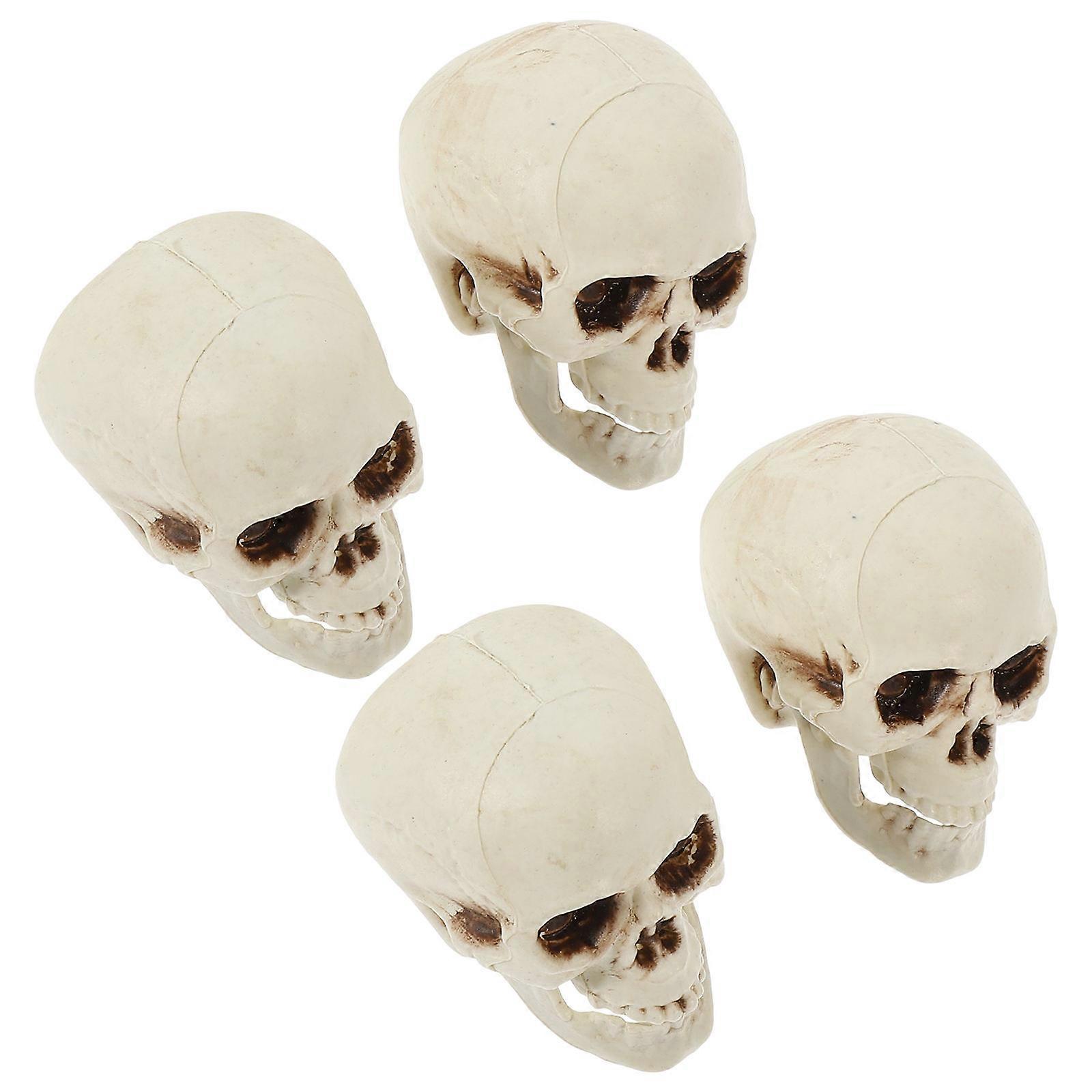 Beige Skull Head Model Simulation for Party Use 4Pcs Plastic Skeleton