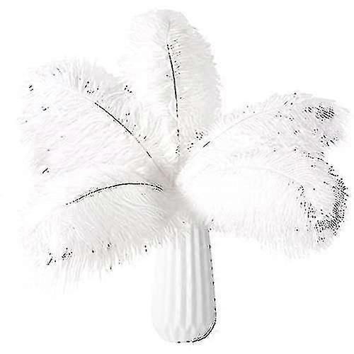 20 piume di struzzo naturali sfuse -ys