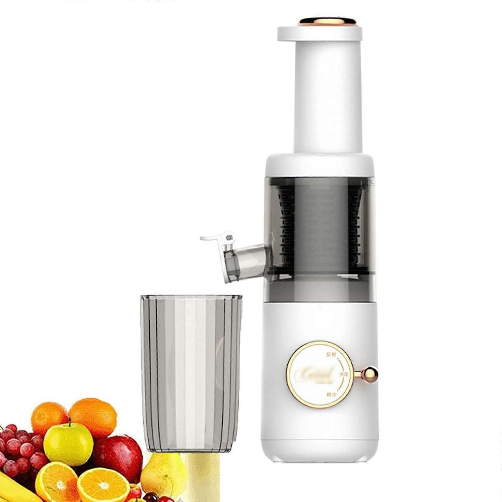 Slow Masticating Juicer 620ml Cold Press for Fruits and Vegetables with Quiet Reverse Function