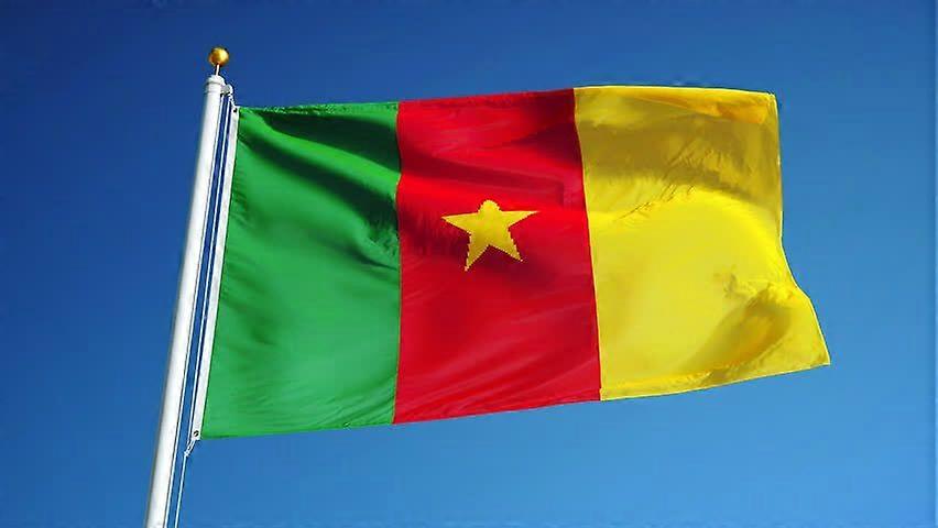Nouveau Cameroun Zy0222