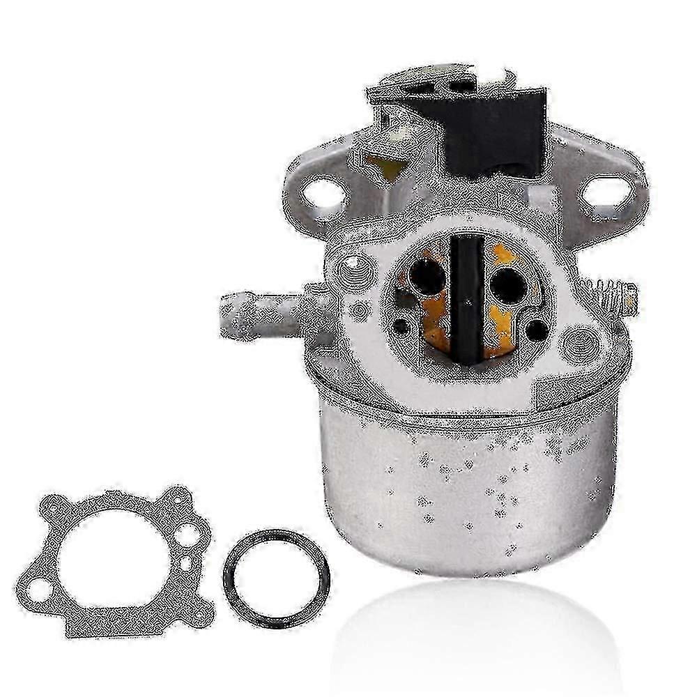 Vergaser mit Dichtungen für Briggs & Stratton Quantum Inter.
