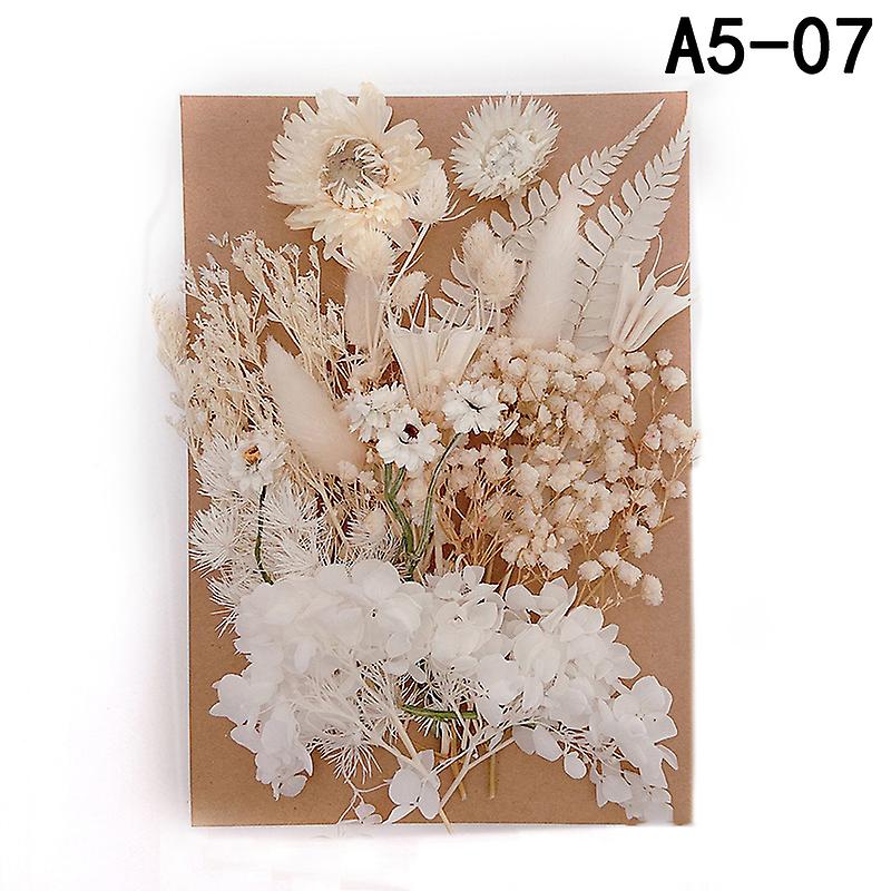 Pressed Flower Handmade Mixed Dried Flowers Material
