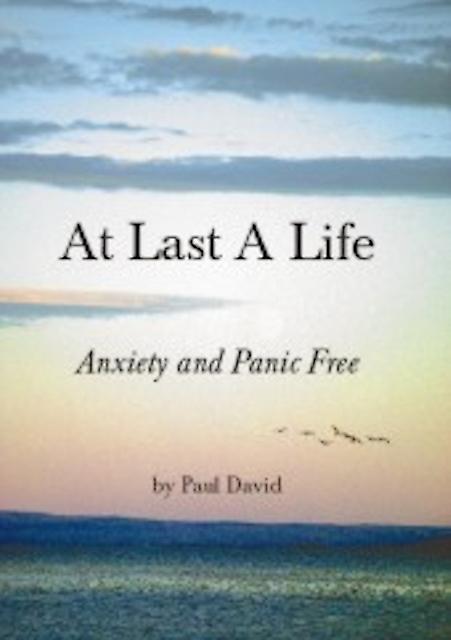 At Last A Life by Paul David Paperback