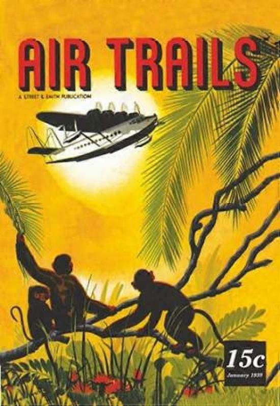 Seaplane Over the Tropics Poster