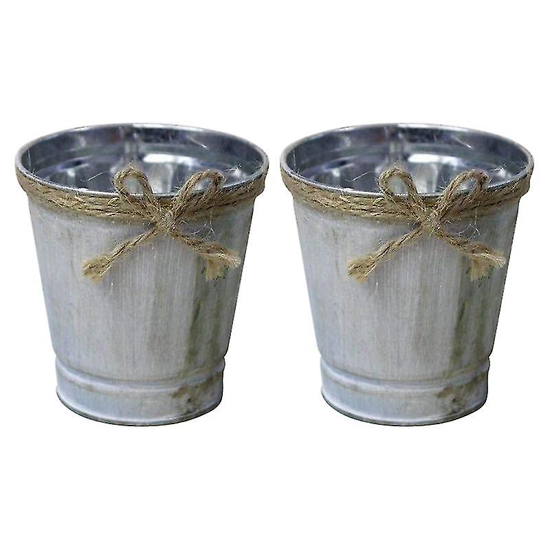 2pcs Home Flowerpot Decor