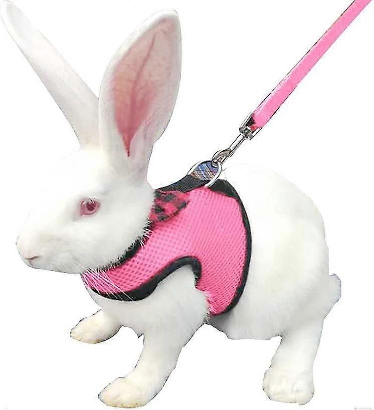 Rabbits Leash, Rabbits Hamster Vest Harness with Breathable Mesh Vest for Kitten Small Walking Pets
