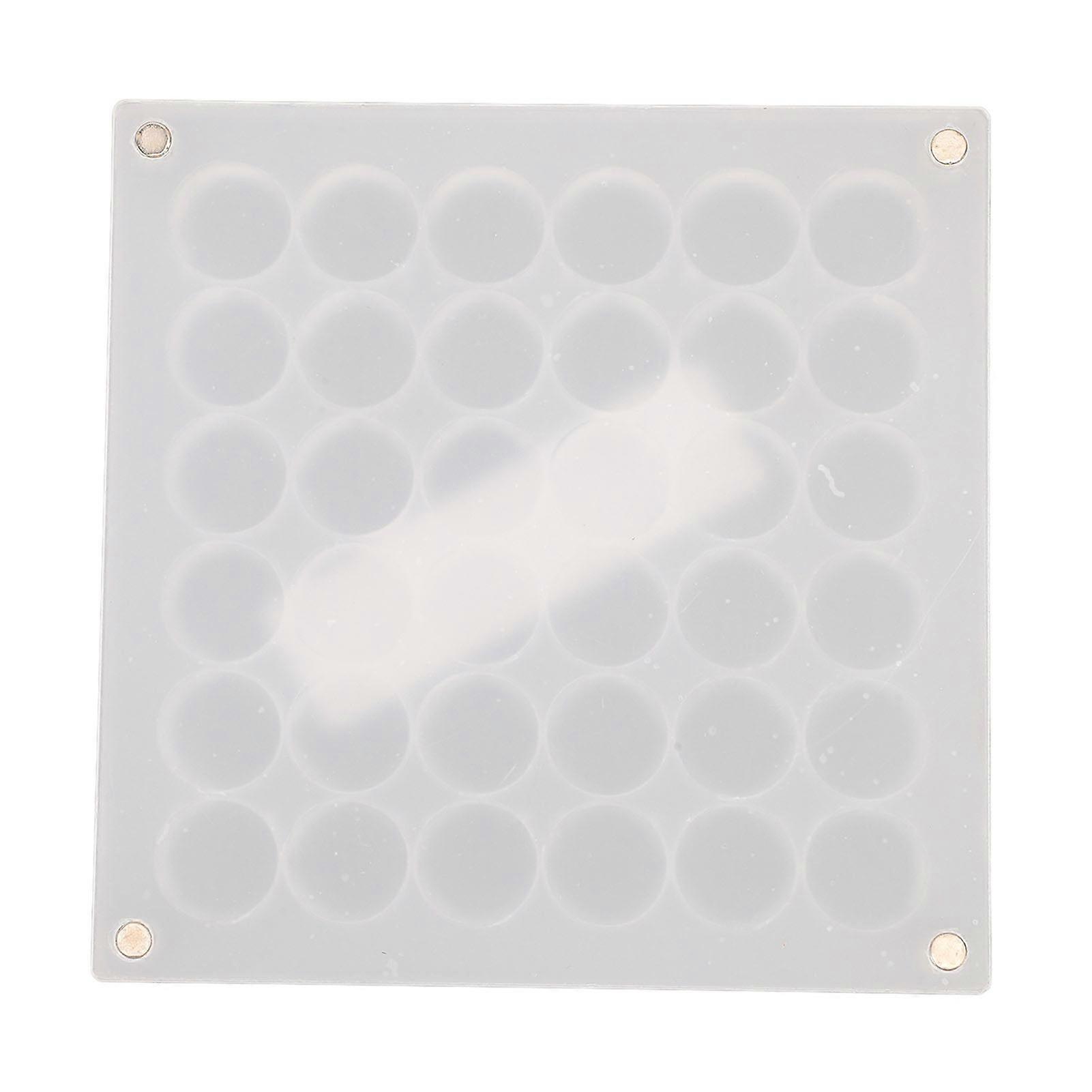 Seashell Display Box Acrylic Magnetic Transparent Seashell Organizer for Seashell Collection 36 Grids