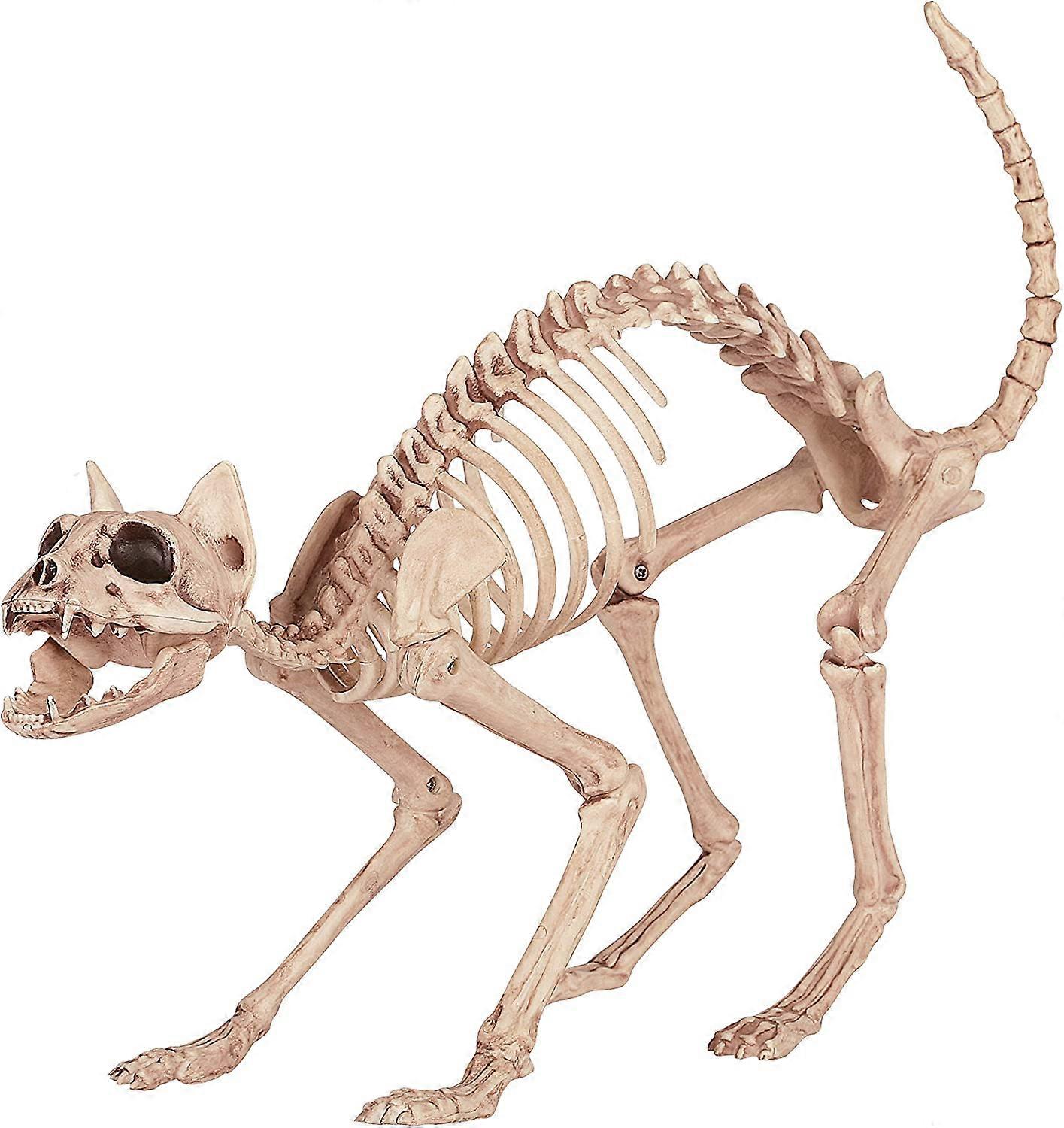 Crazy Bonez Skelett Katze
